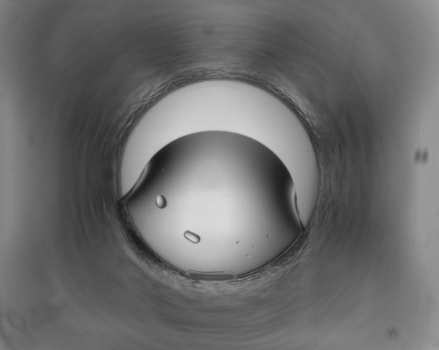 X0000096980022200802291156