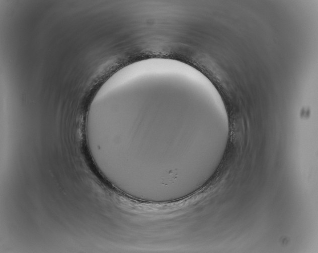 X0000096980023200802291156