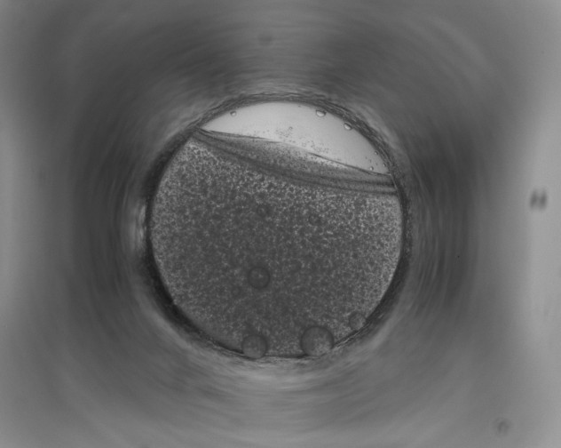 X0000096980024200802291156