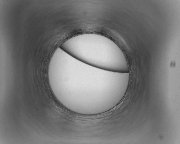 X0000096980025200802291156