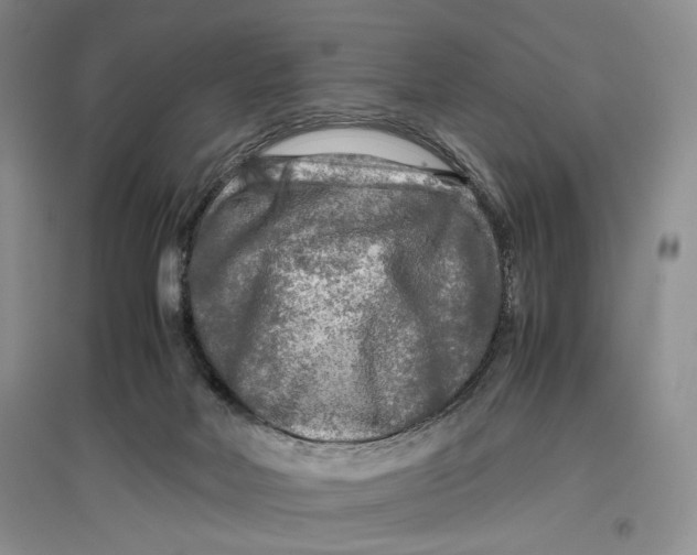 X0000096980026200802291156