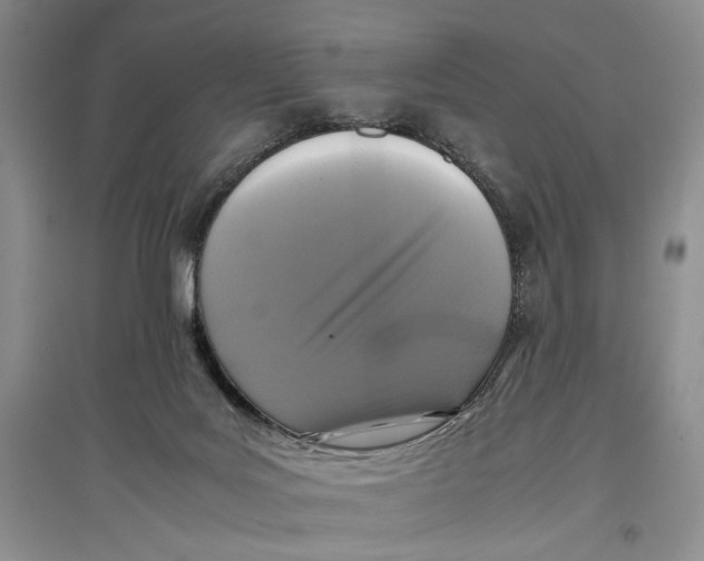 X0000096980027200802291156