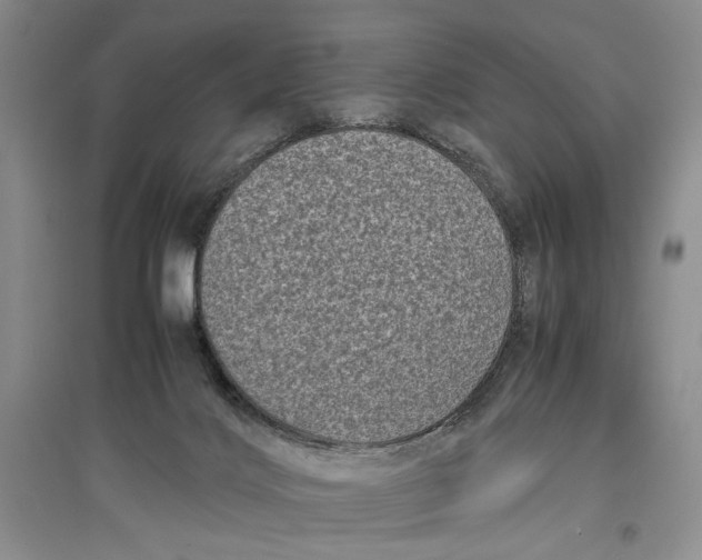 X0000096980028200802291156