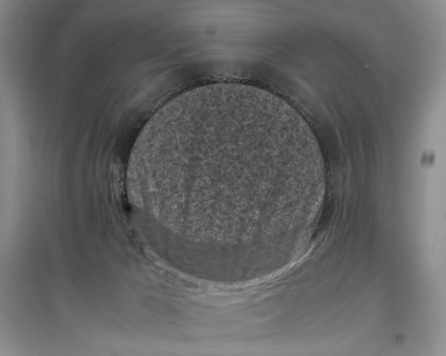 X0000096980029200802291156