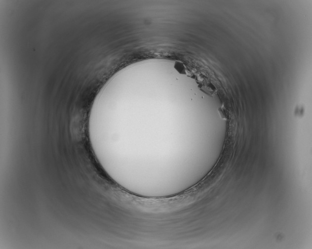 X0000096980030200802291156