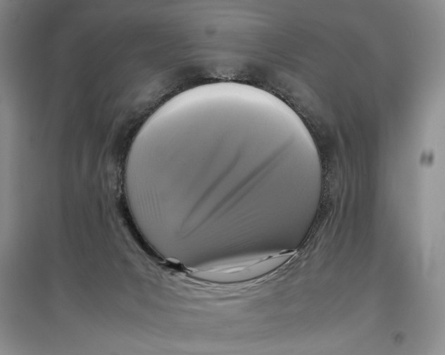 X0000096980031200802291156