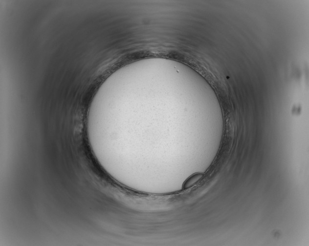 X0000096980032200802291156