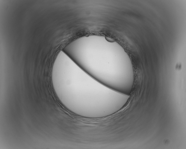 X0000096980033200802291156