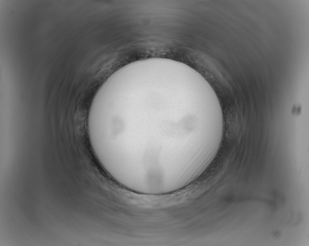 X0000096980034200802291156