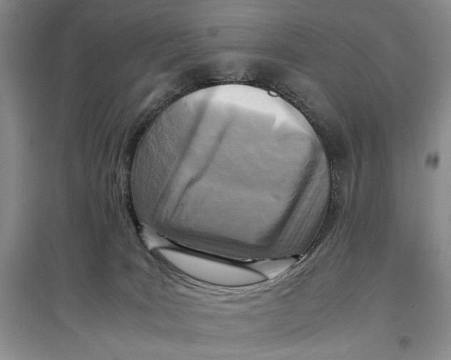 X0000096980035200802291156