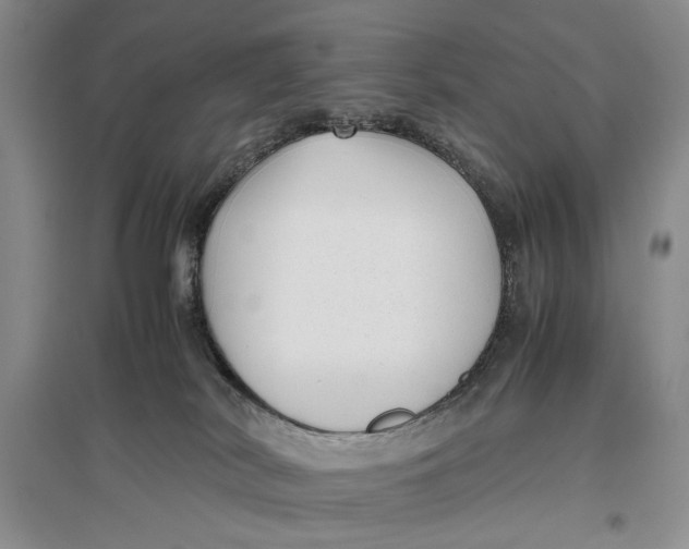 X0000096980038200802291156