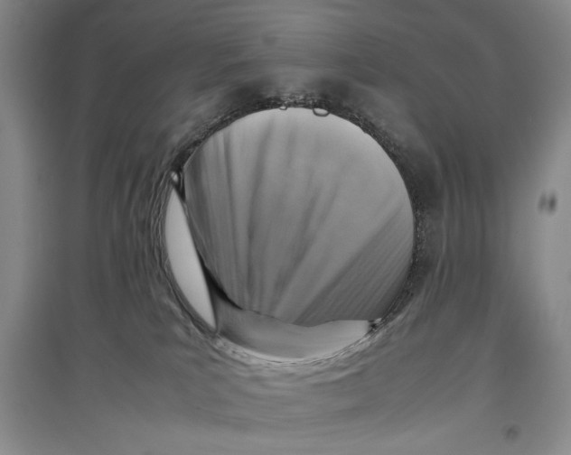 X0000096980039200802291156