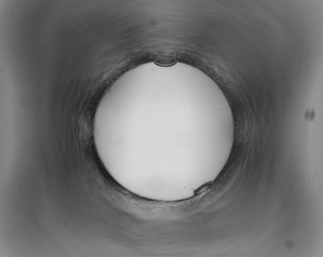 X0000096980040200802291156