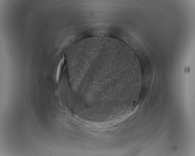 X0000096980041200802291156