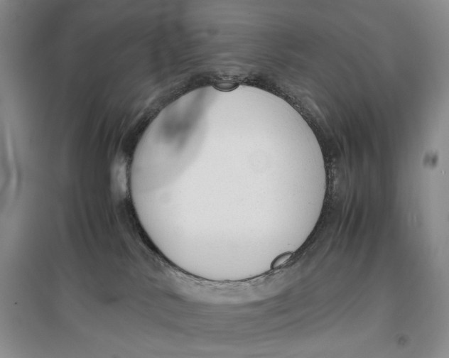 X0000096980042200802291156