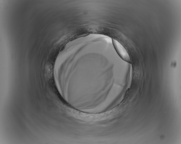 X0000096980043200802291156