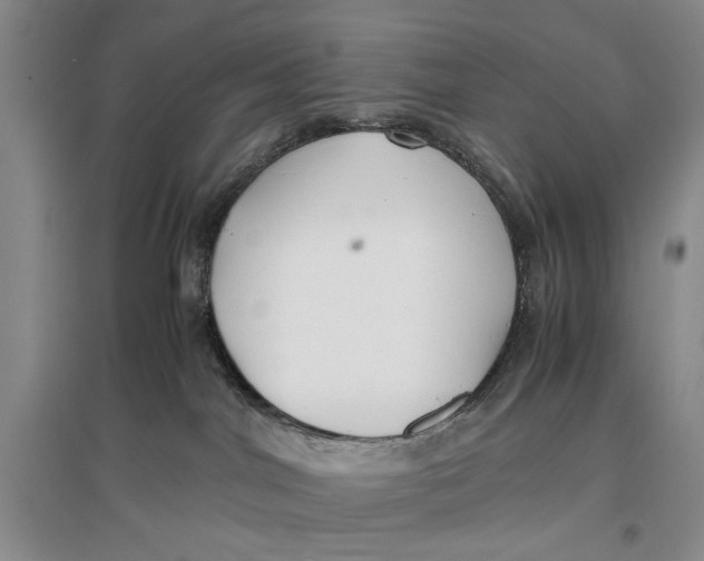 X0000096980044200802291156