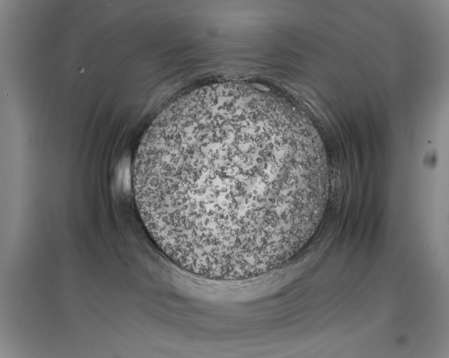 X0000096980046200802291156