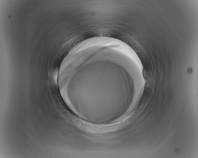 X0000096980047200802291156