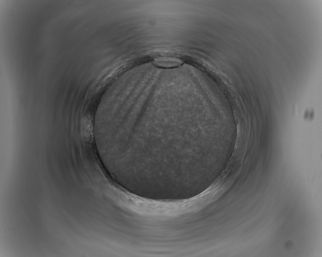 X0000096980048200802291156