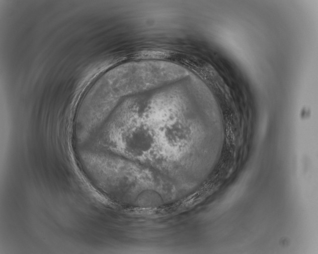 X0000096980049200802291155