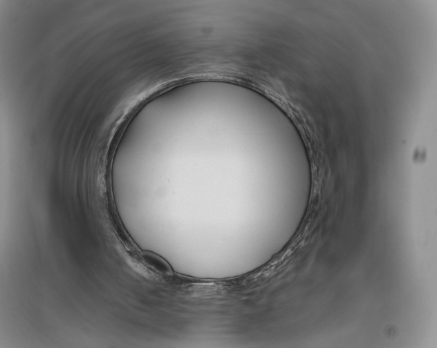 X0000096980050200802291155