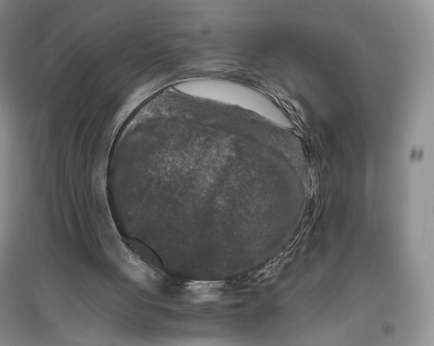 X0000096980051200802291155