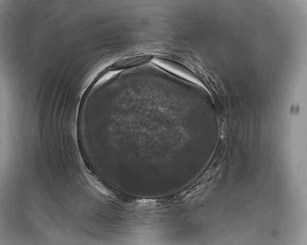 X0000096980052200802291155