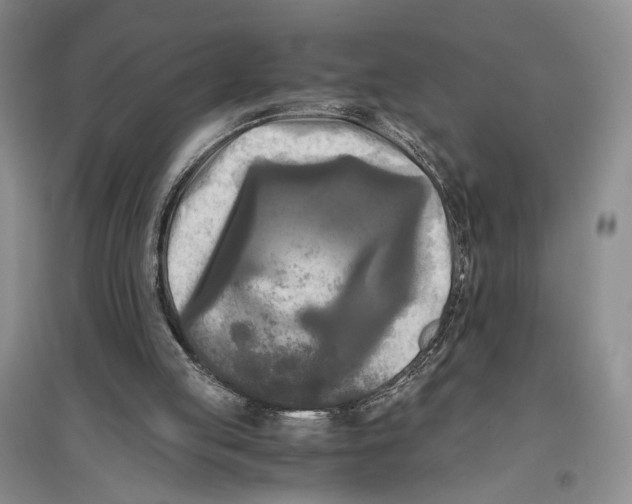 X0000096980053200802291155