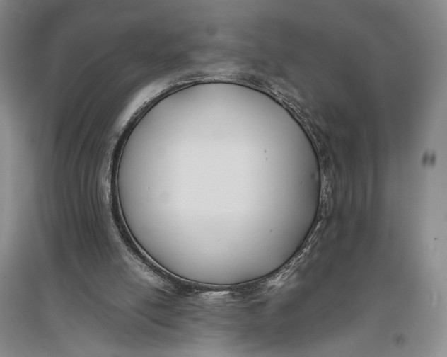 X0000096980054200802291155