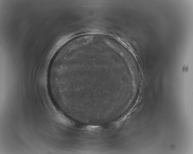 X0000096980055200802291155