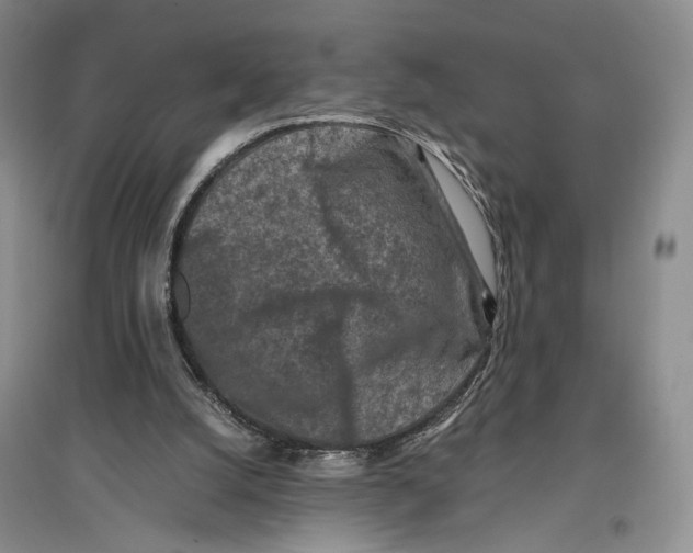 X0000096980056200802291155