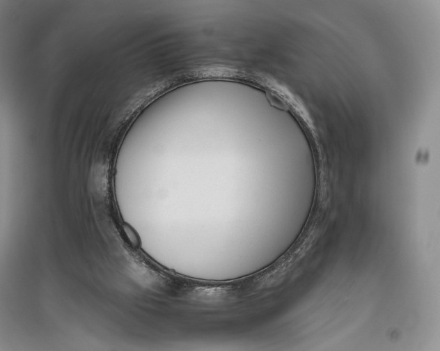 X0000096980057200802291155