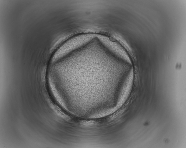 X0000096980058200802291155