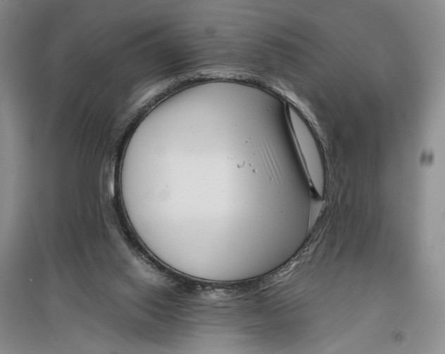 X0000096980062200802291155