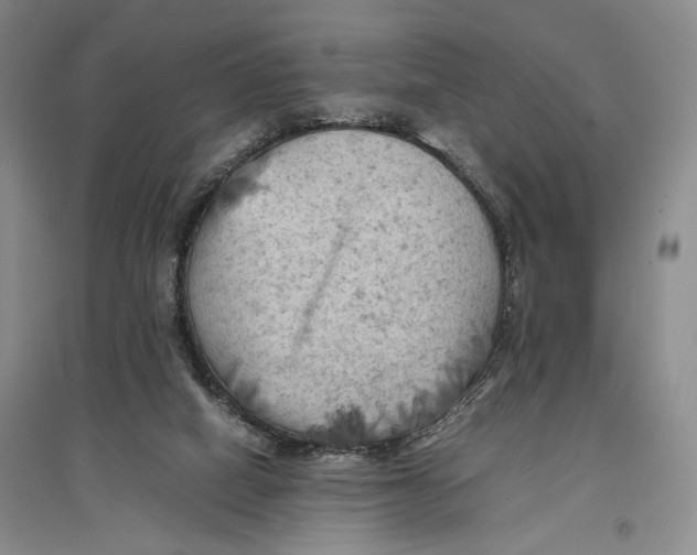 X0000096980066200802291155