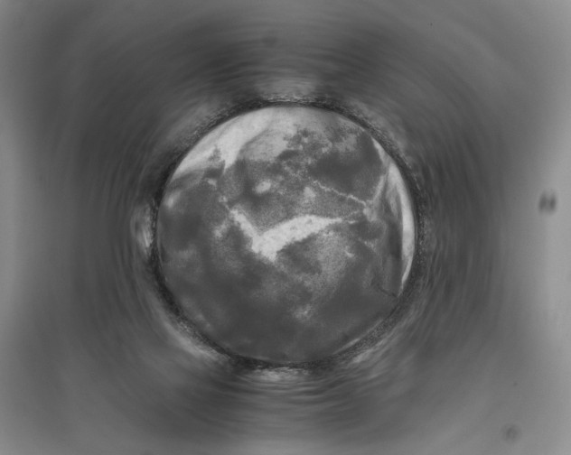 X0000096980069200802291155