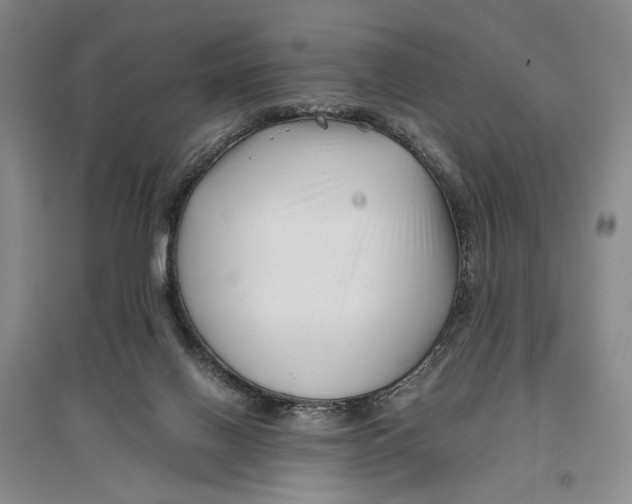 X0000096980070200802291155