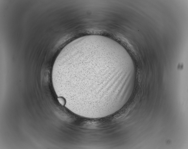 X0000096980071200802291155