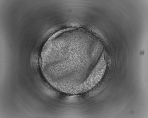 X0000096980072200802291155