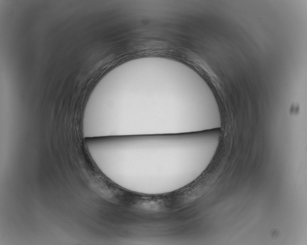 X0000096980073200802291155