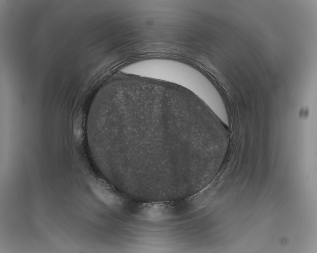 X0000096980074200802291155