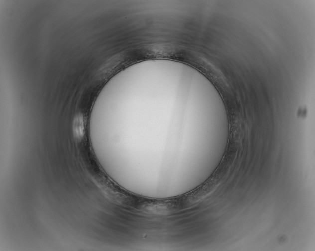 X0000096980075200802291155