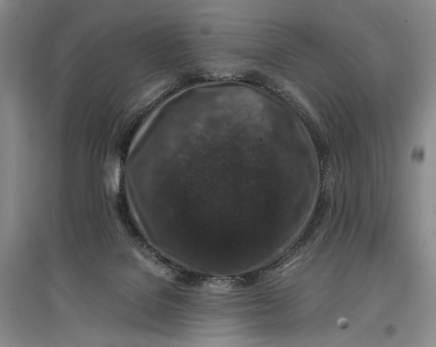 X0000096980076200802291155