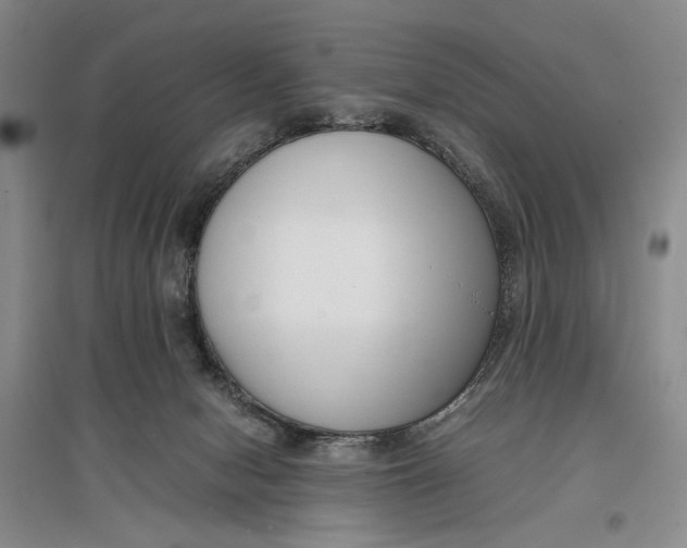 X0000096980078200802291155