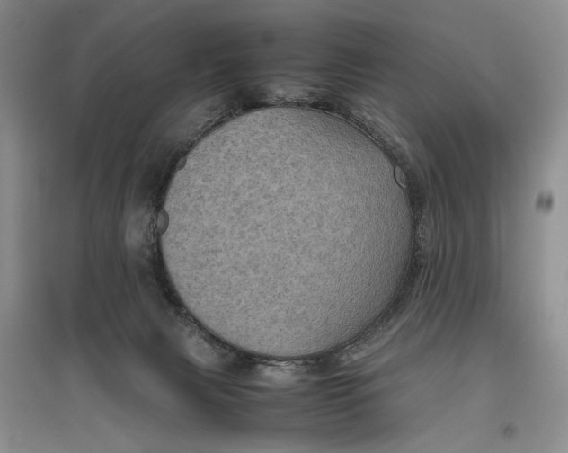 X0000096980079200802291155