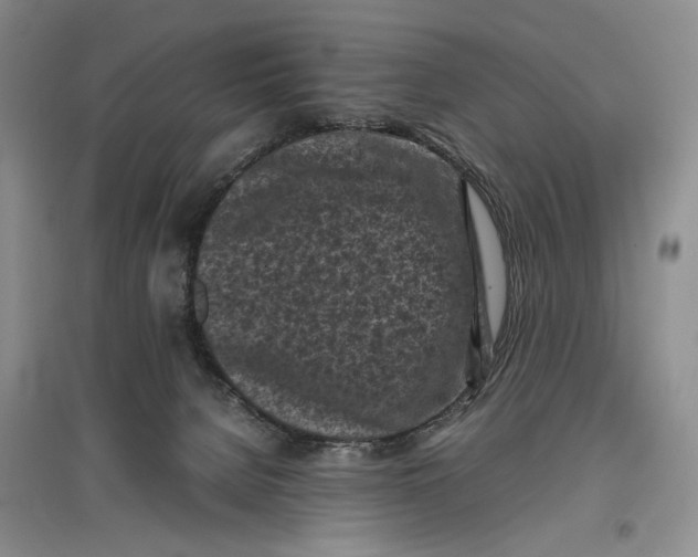 X0000096980080200802291155