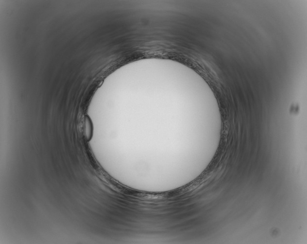 X0000096980081200802291155