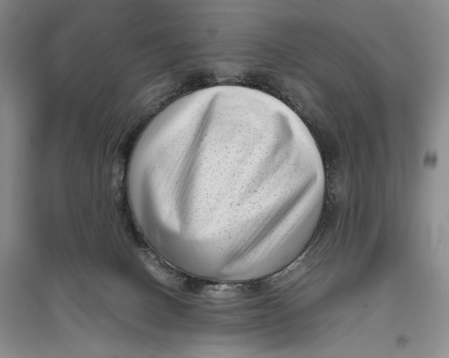 X0000096980082200802291155