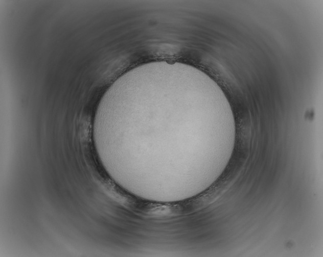 X0000096980083200802291155